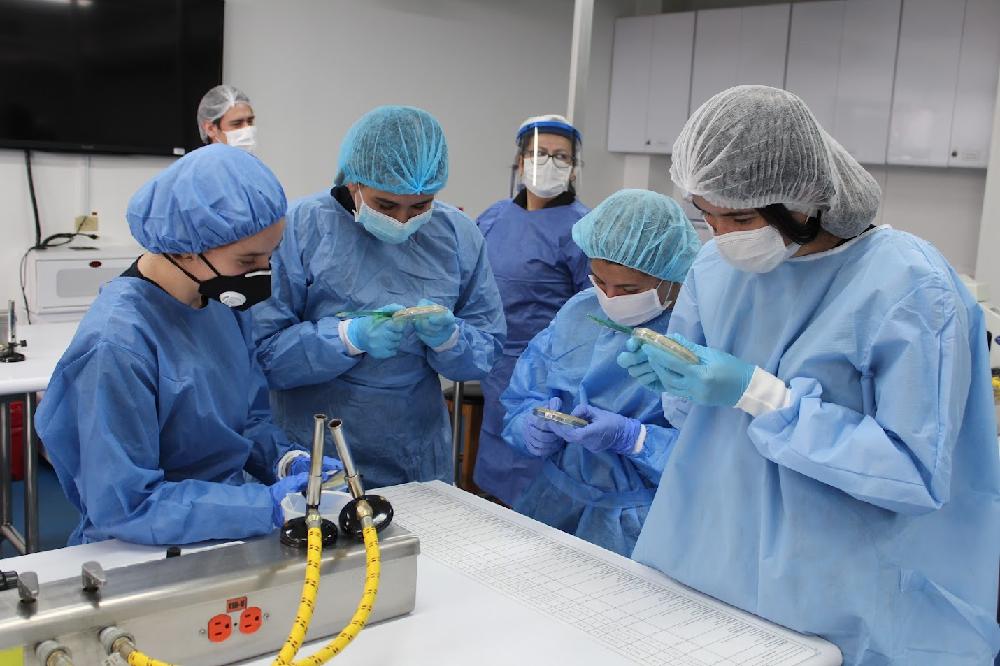 Medicina 2
