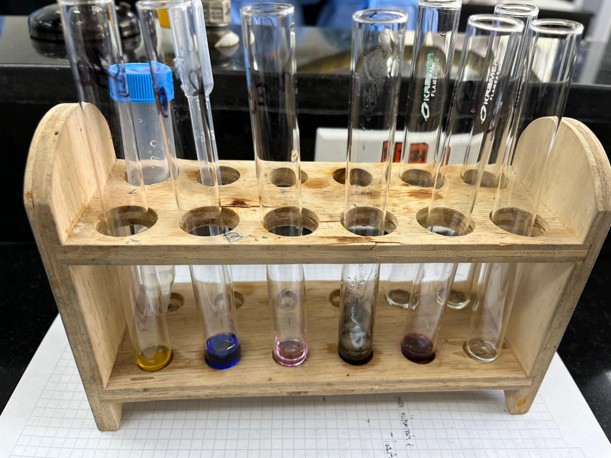 Laboratorio de Bioquímica - Universidad Militar Nueva Granada