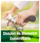 Vista en miniatura