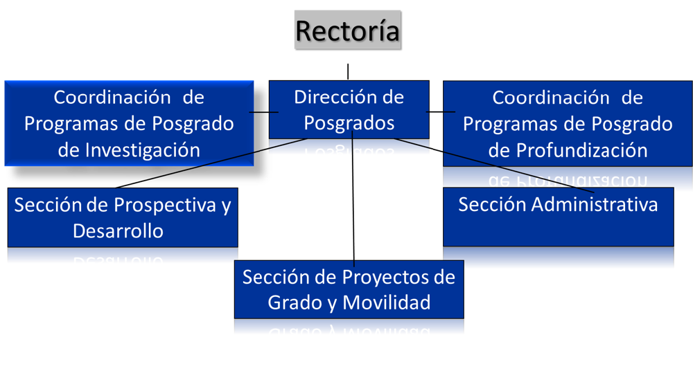 Vista previa