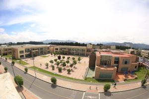 Vista en miniatura
