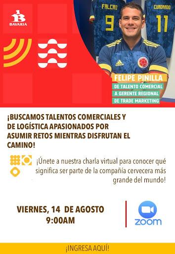 Vista previa