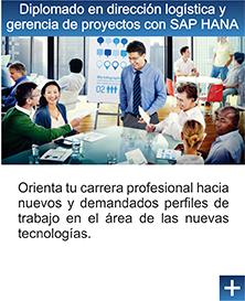 Vista en miniatura