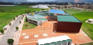 Vista en miniatura